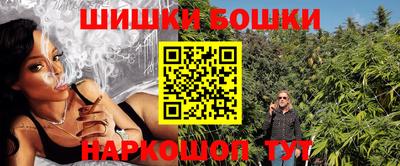 гидропоника Дубна