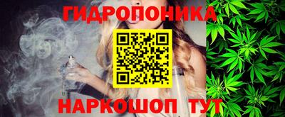 стафф Донецк