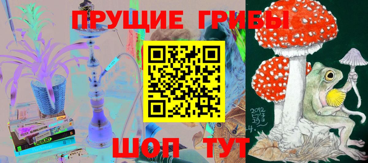 Псилоцибиновые грибы мицелий Красноярск
