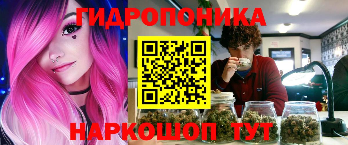 Бошки Шишки VHQ  Бошки марихуана ГИДРОПОН  Вход с VPN  Красноярск 